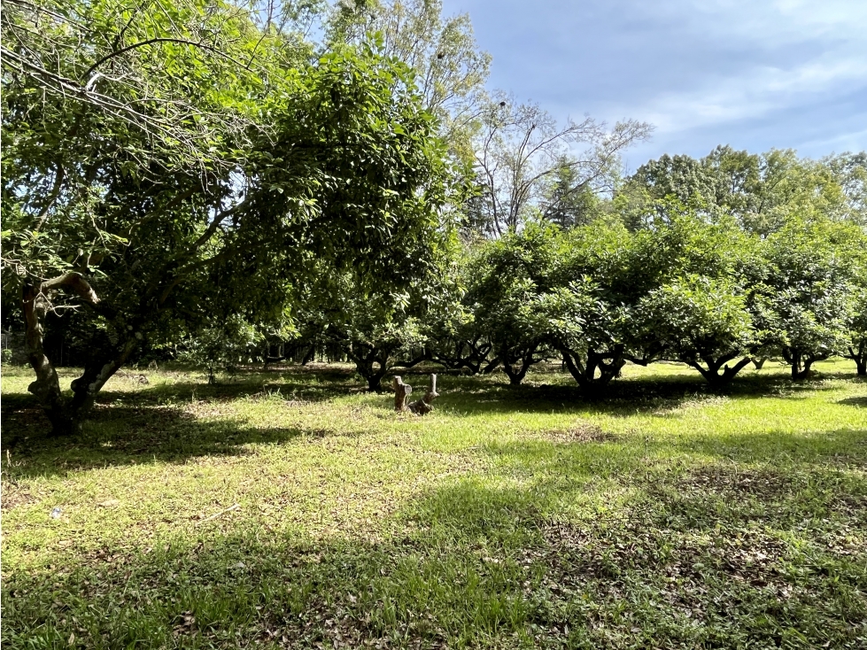 TERRENO EN VENTA EN ATEZCAPAN, VALLE DE BRAVO, HUERTA DE AGUACATES — foto 4
