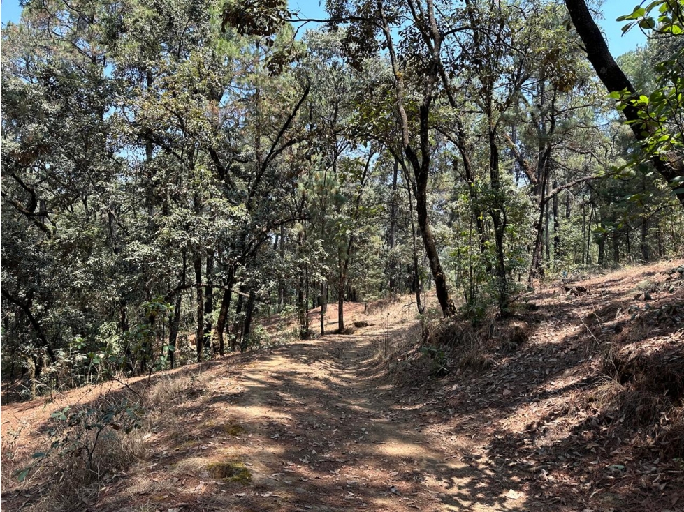 TERRENO CON RIO EN VENTA SAN SIMON — foto 2