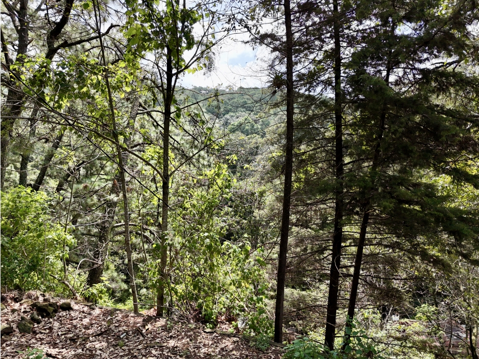 TERRENO EN VENTA | 4,042m2 | VISTA BOSCOSA — foto 6