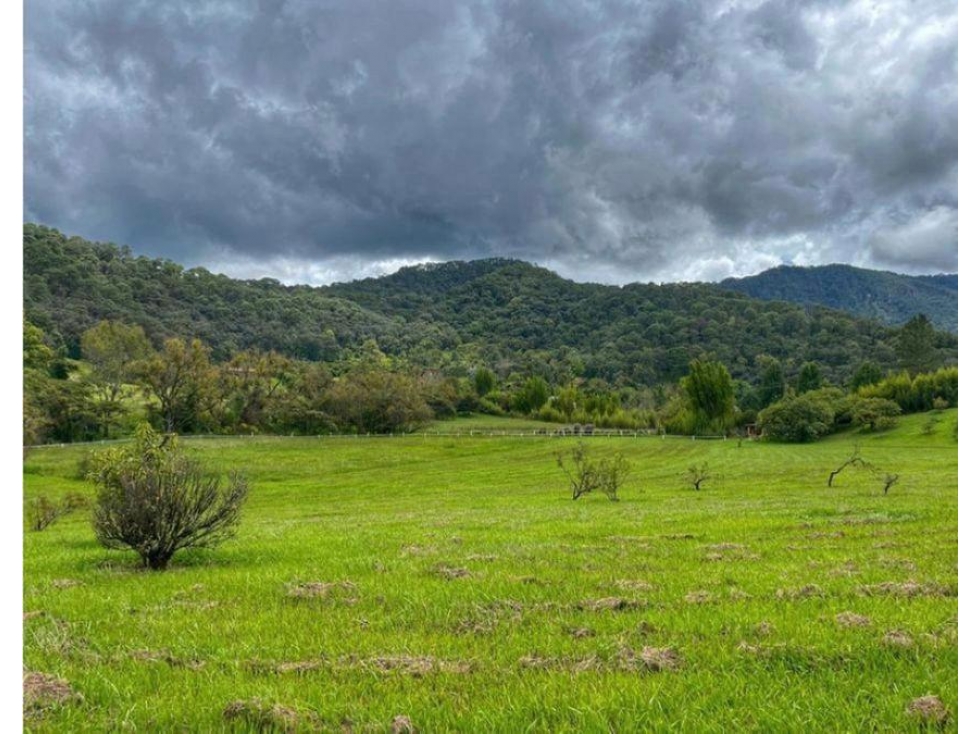 TERRENO EN VENTA | 28,300 M2 | EL CERRILLO |VALLE DE BRAVO — foto 5