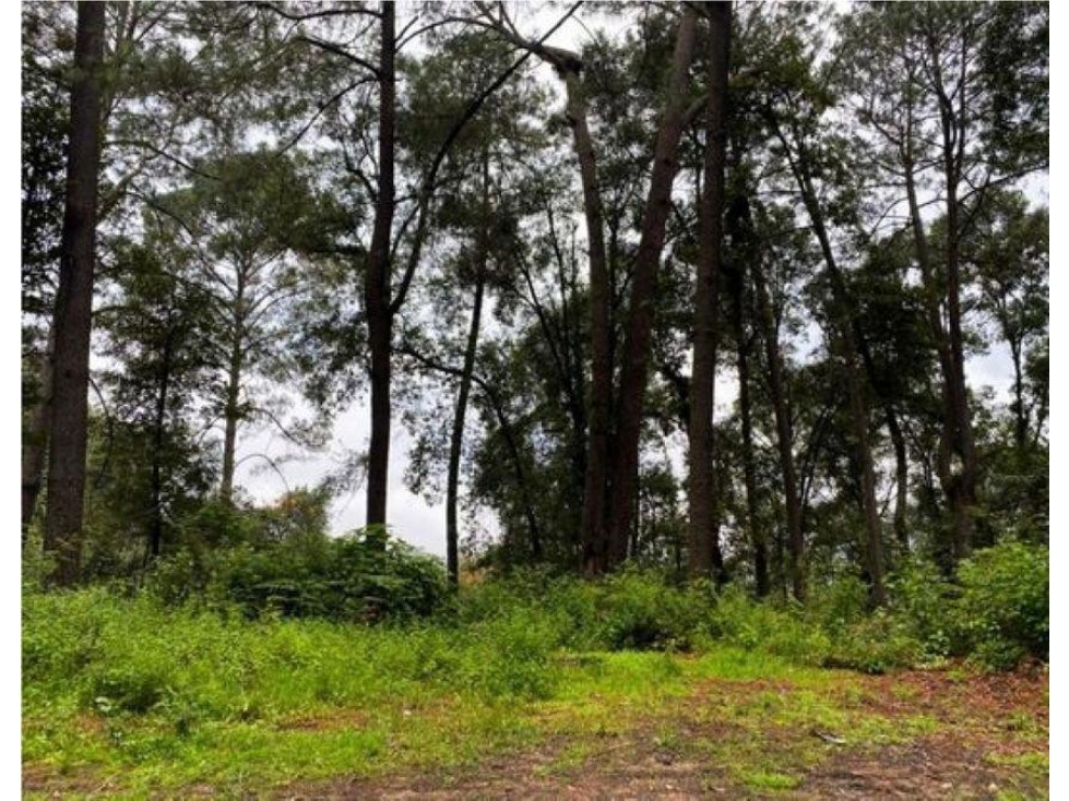 TERRENO EN VENTA | 6,764 M2 | VALLE DE BRAVO | EL MANZANO - 2