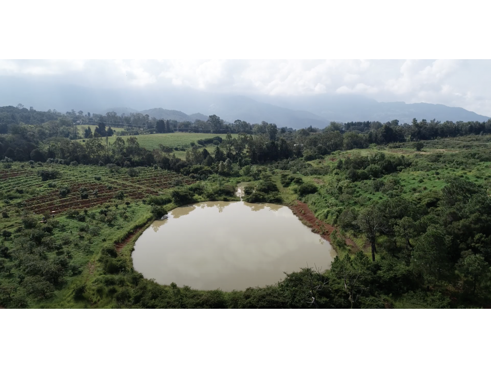 TERRENO EN VENTA CON ÁRBOLES DE AGUACATE — foto 3