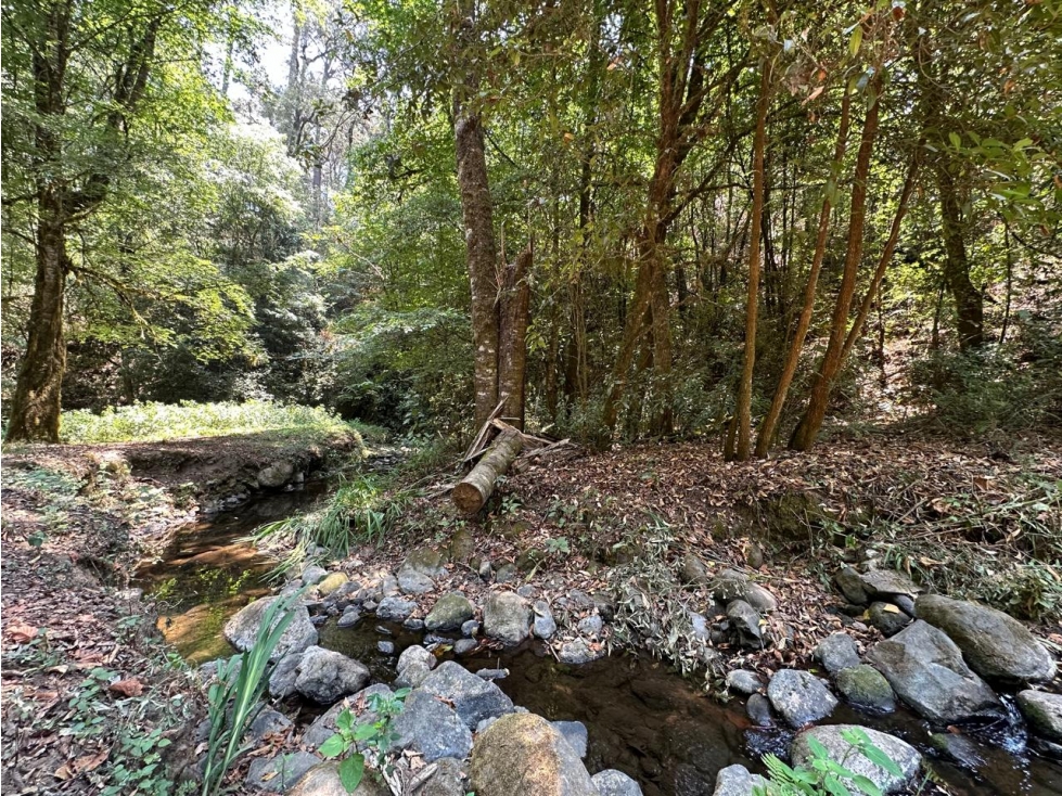 TERRENO CON RIO EN VENTA SAN SIMON — foto 3