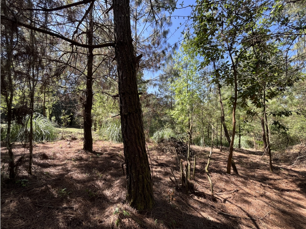 TERRENO EN VENTA I VALLE SANTANA I VALLE DE BRAVO — foto 4