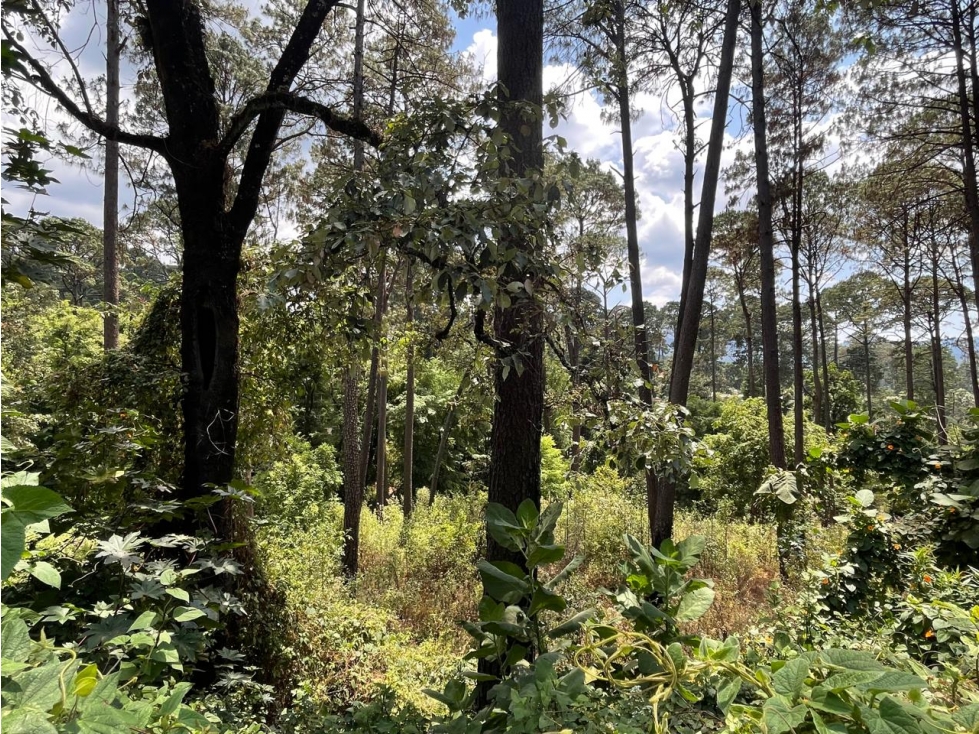 TERRENO EN VENTA I AVANDARO I 2000 M2 — foto 6