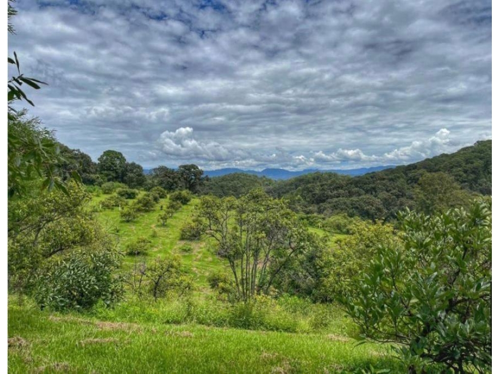 TERRENO EN VENTA | 28,300 M2 | EL CERRILLO |VALLE DE BRAVO — foto 3