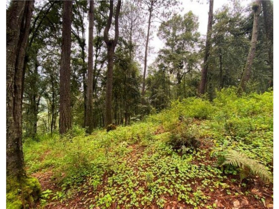 TERRENO EN VENTA | 3,382 M2 | CERRO GORDO | VALLE DE BRAVO