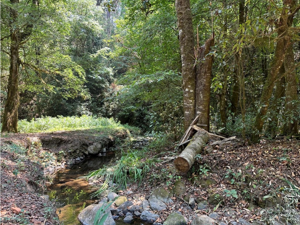 TERRENO CON RIO EN VENTA SAN SIMON — foto 5