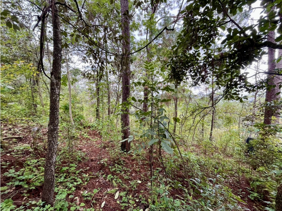 TERRENO EN VENTA | LOTE 1 | AVANDARO — foto 6
