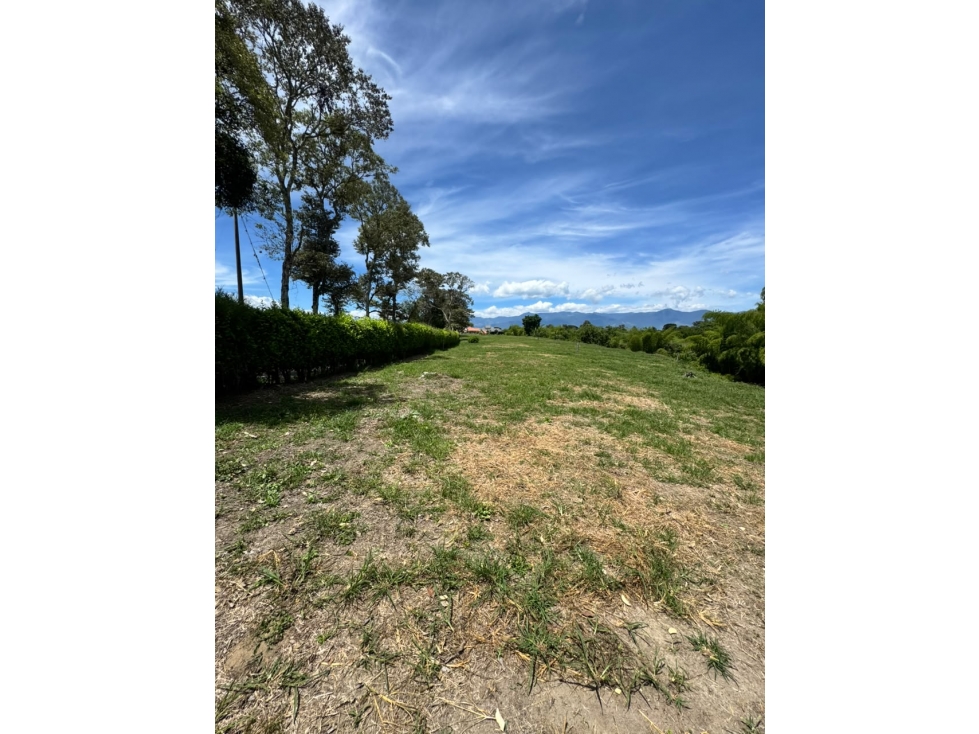 LOTES EN VENTA EN QUIMBAYA