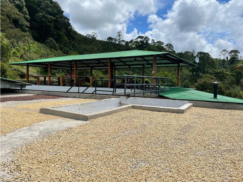 FINCA AMOBLADA EN LOS PINOS - SALENTO QUINDÍO - 4