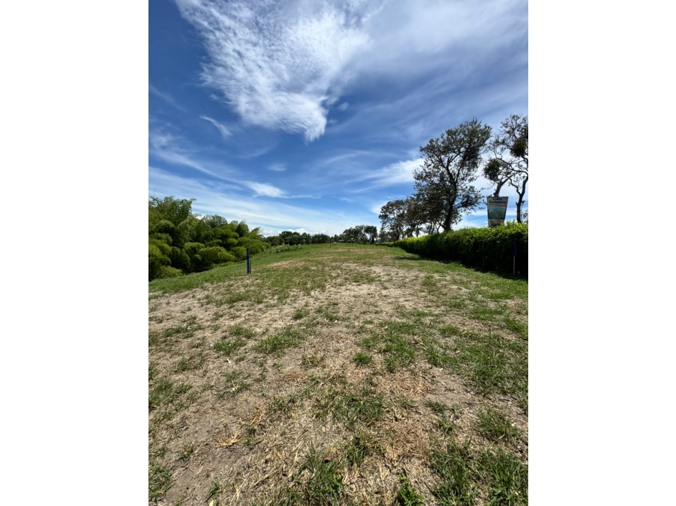 LOTES EN VENTA EN QUIMBAYA — foto 2