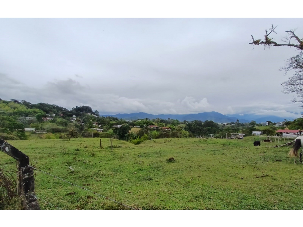 LOTE AL NORTE DE ARMENIA EN CIRCASIA Q - 4