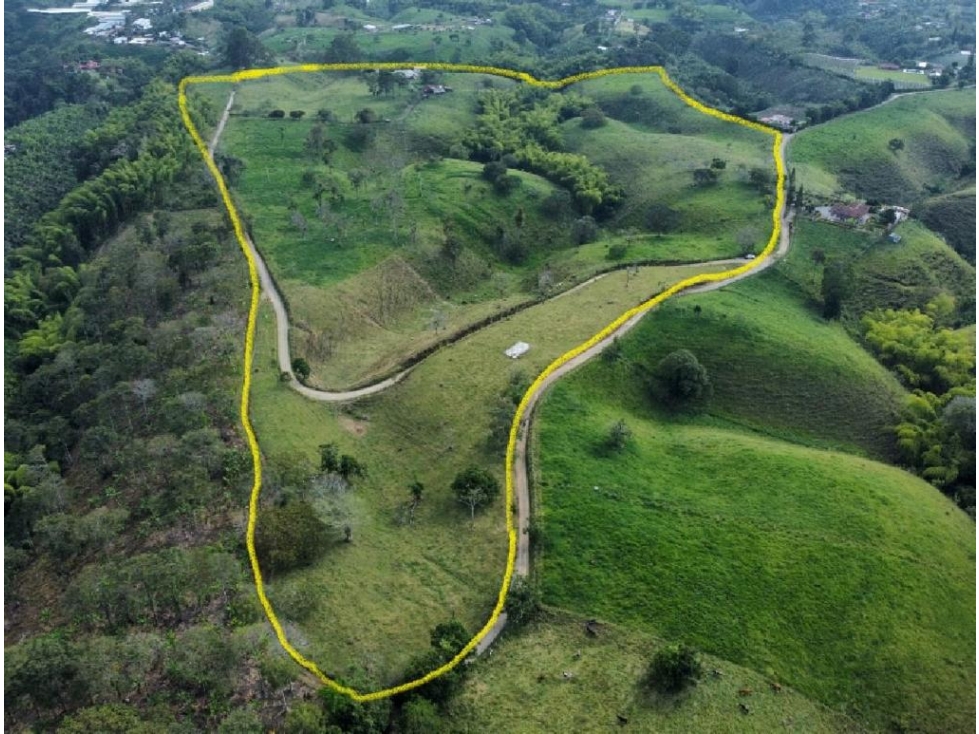 FINCA EN CIRCASIA QUINDÍO