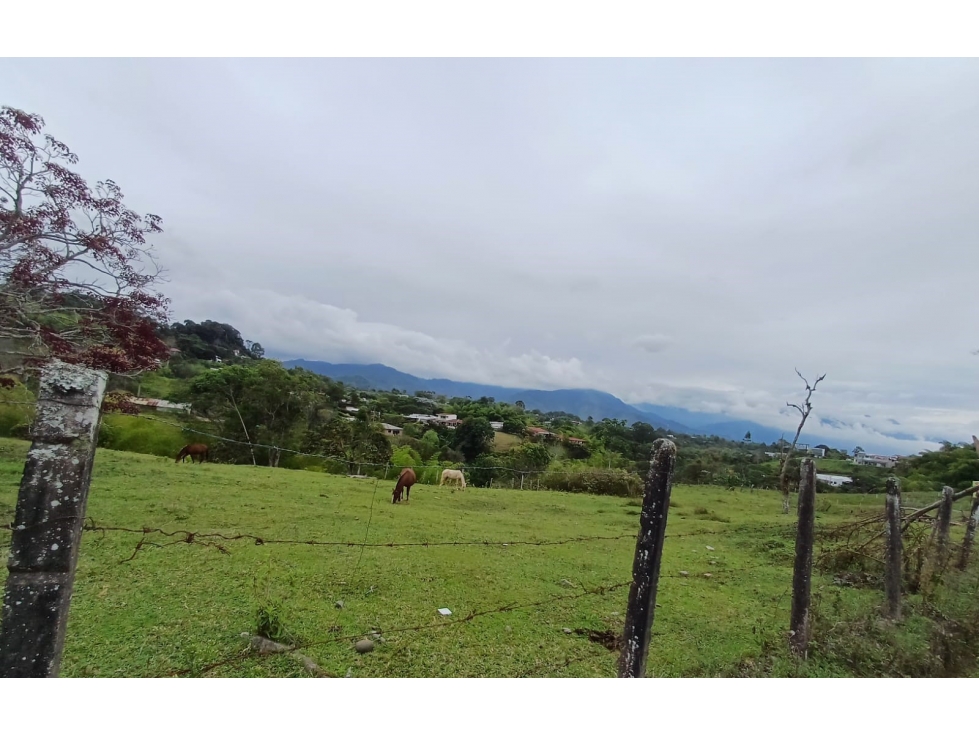 LOTE AL NORTE DE ARMENIA EN CIRCASIA Q - 5