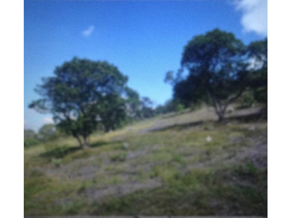 Vendo lote,Sopó,vereda Gratamira,54.00M2, - 1