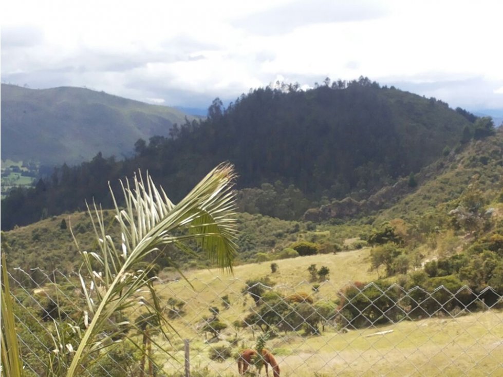 Vendo lote,Sopó,vereda Gratamira,54.00M2, - 2