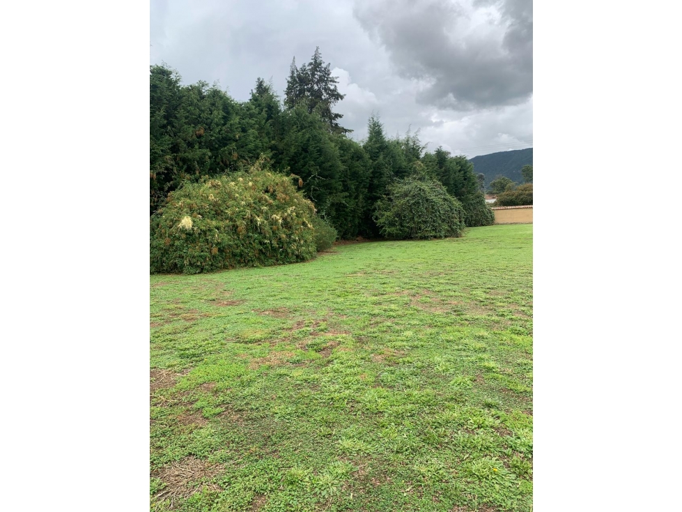 PARA VENTA O PERMULTA LOTE DE 3.942 M2 CONJUNTO EN TENJO-JA - 4
