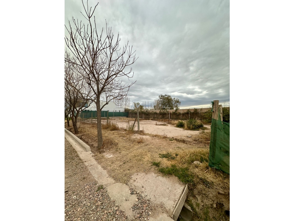 Lote en Venta 568 m2 Barrio Privado Alto los Olivos, Guaymallén - 4