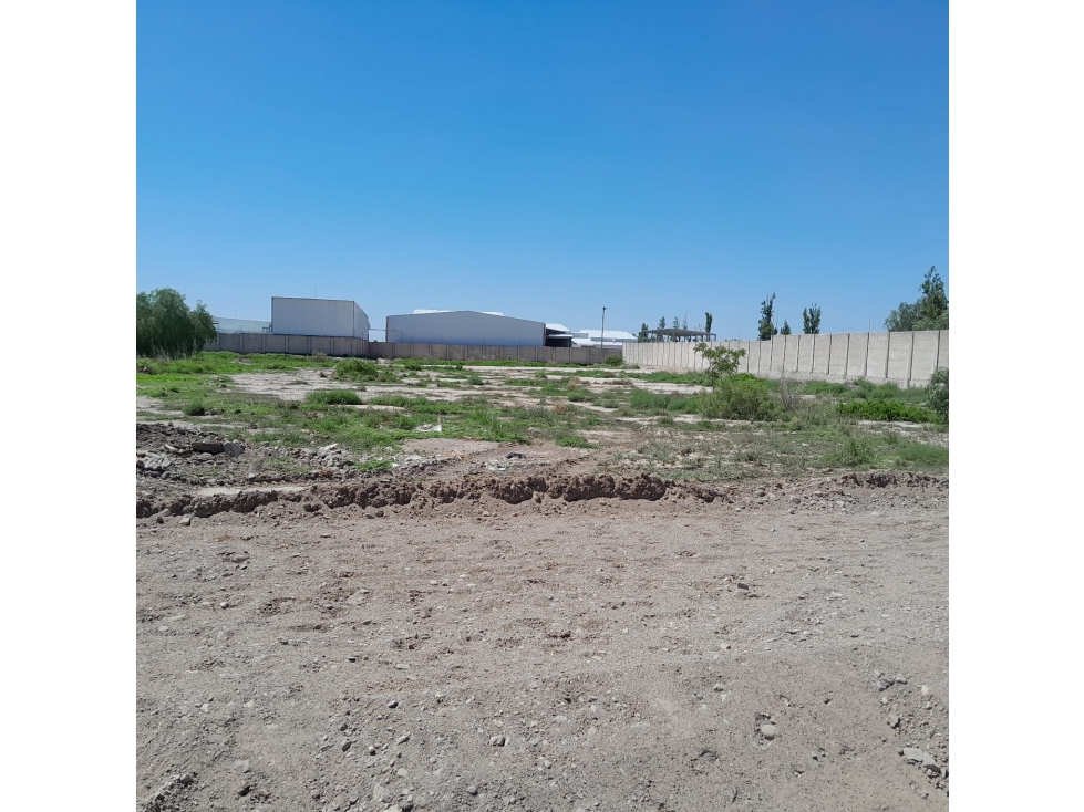 Terreno en Venta 5000 m2 sobre Pescara, Maipú, Mendoza - 1