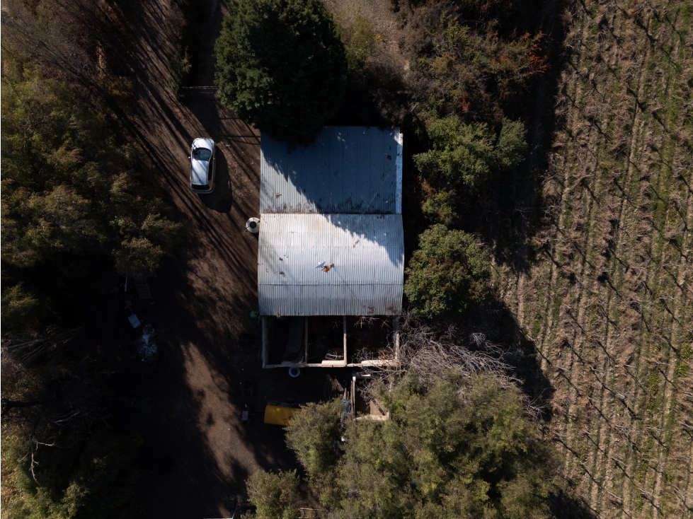 Finca de 19 ha con viñedos en producción-Rodríguez Peña, Junín - 3