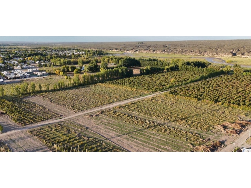 Terreno en Venta Ciudad Tunuyan - 1