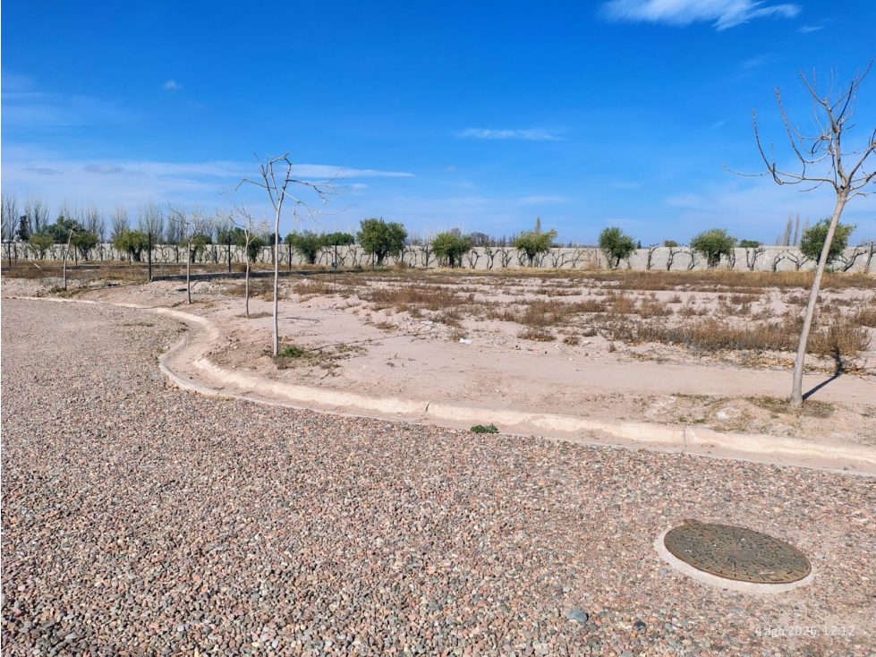 Lotes en Venta B° Atardeceres de Vieytes, Luján de Cuyo - 5