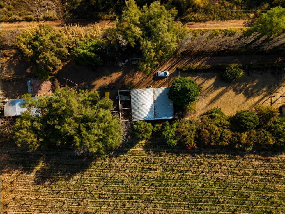 Finca de 19 ha con viñedos en producción-Rodríguez Peña, Junín - 6