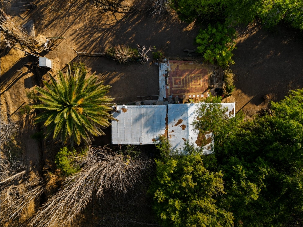 Finca de 19 ha con viñedos en producción-Rodríguez Peña, Junín - 4