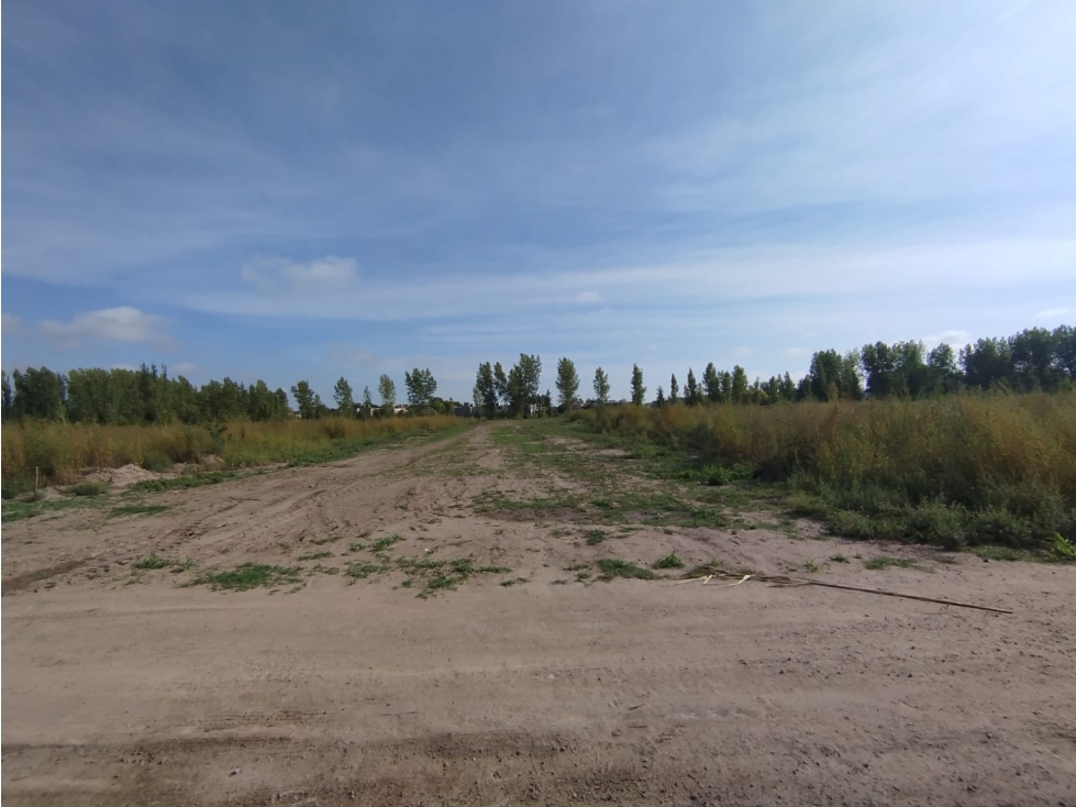 Lotes en Venta de 240 m2 en Centro, Tunuyán - 2