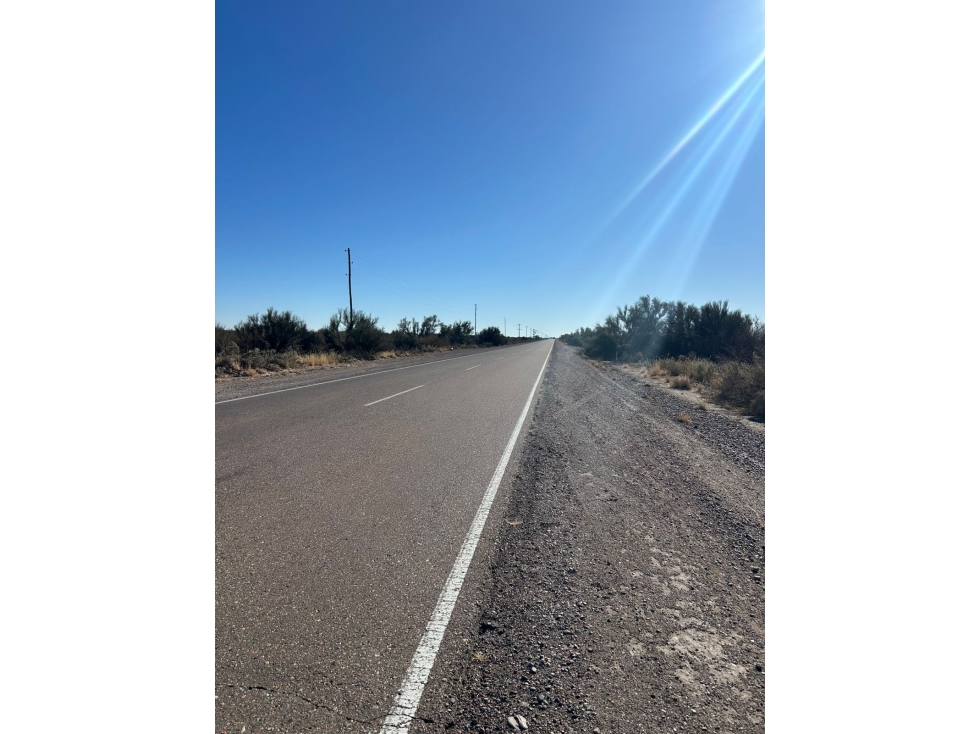 Campo en venta en Santa Rosa Mendoza, Las Catitas - 5