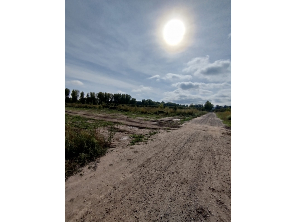 Lotes en Venta de 240 m2 en Centro, Tunuyán - 3
