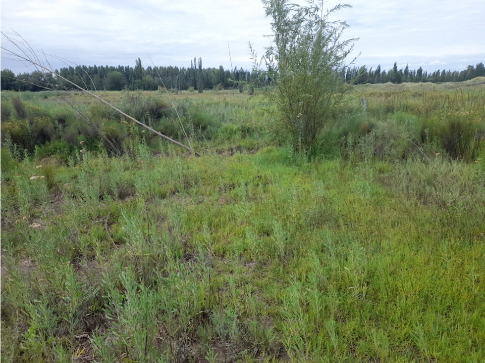 Lote en Venta de 736 m2 en Rodeo del Medio, Maipú - 5