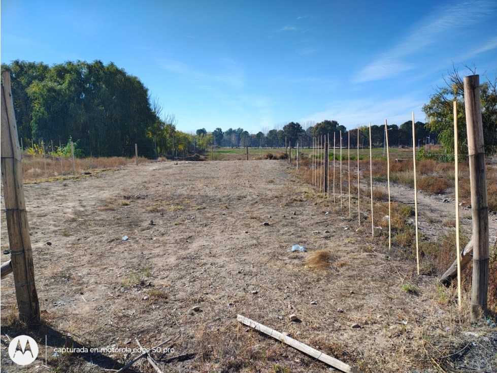 Lote en Venta de 600 m2 en Centro, Tunuyán - 3