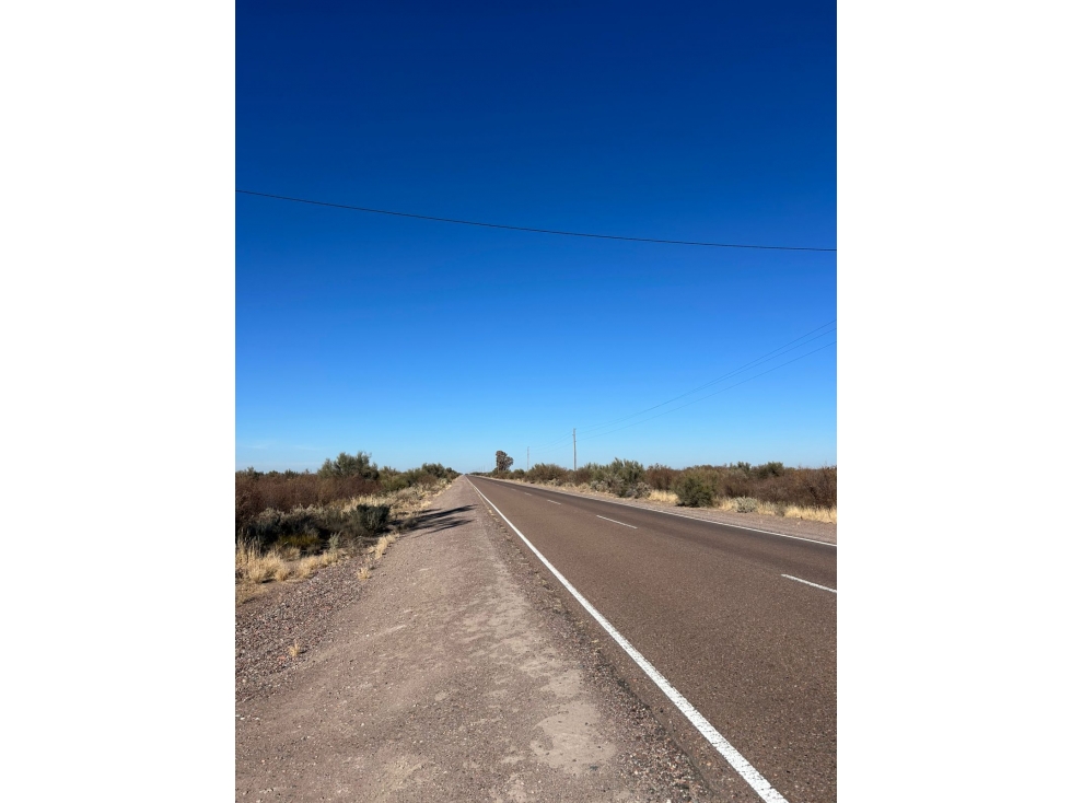 Campo en venta en Santa Rosa Mendoza, Las Catitas - 6