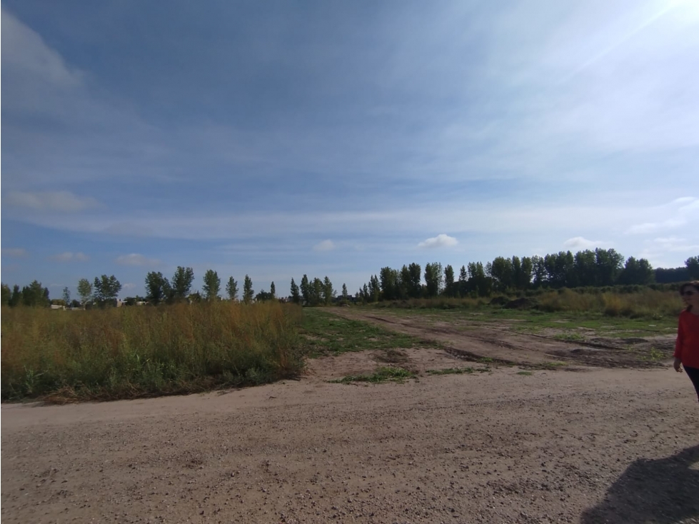 Lotes en Venta de 240 m2 en Centro, Tunuyán - 5