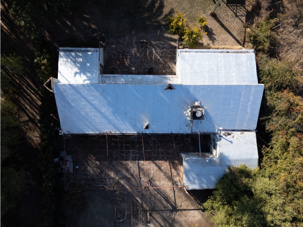 Finca de 19 ha con viñedos en producción-Rodríguez Peña, Junín - 5