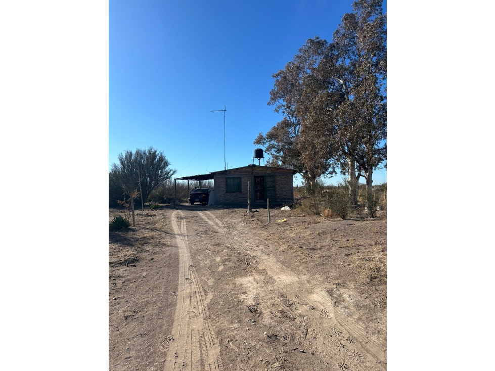 Campo en venta en Santa Rosa Mendoza, Las Catitas - 2