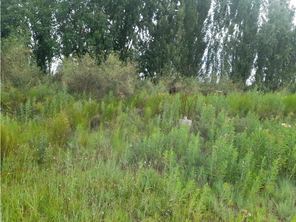 Lote en Venta de 736 m2 en Rodeo del Medio, Maipú - 2