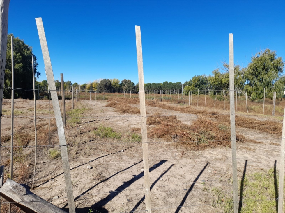 Lote en Venta de 600 m2 en Centro, Tunuyán - 5