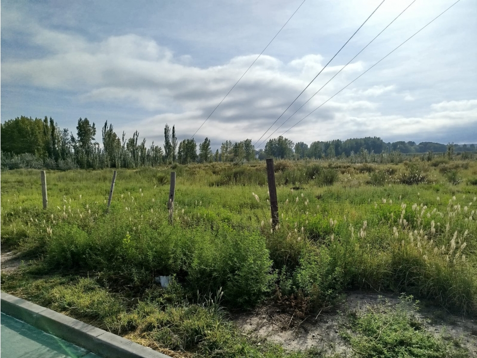 Lotes en Venta de 240 m2 en Centro, Tunuyán - 6