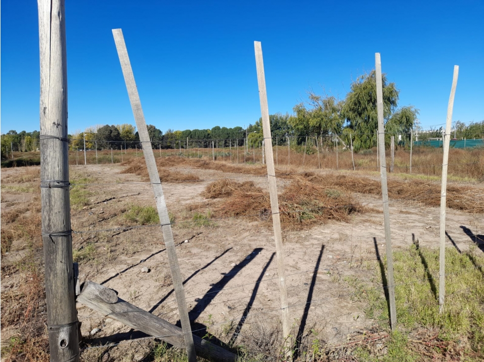 Lote en Venta de 600 m2 en Centro, Tunuyán - 6