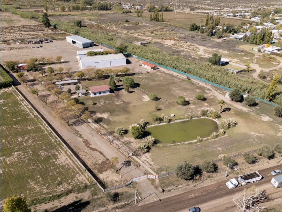 Venta Planta Empaquetadora de Ajo Operativa con Frigoríficos, Mendoza - 1