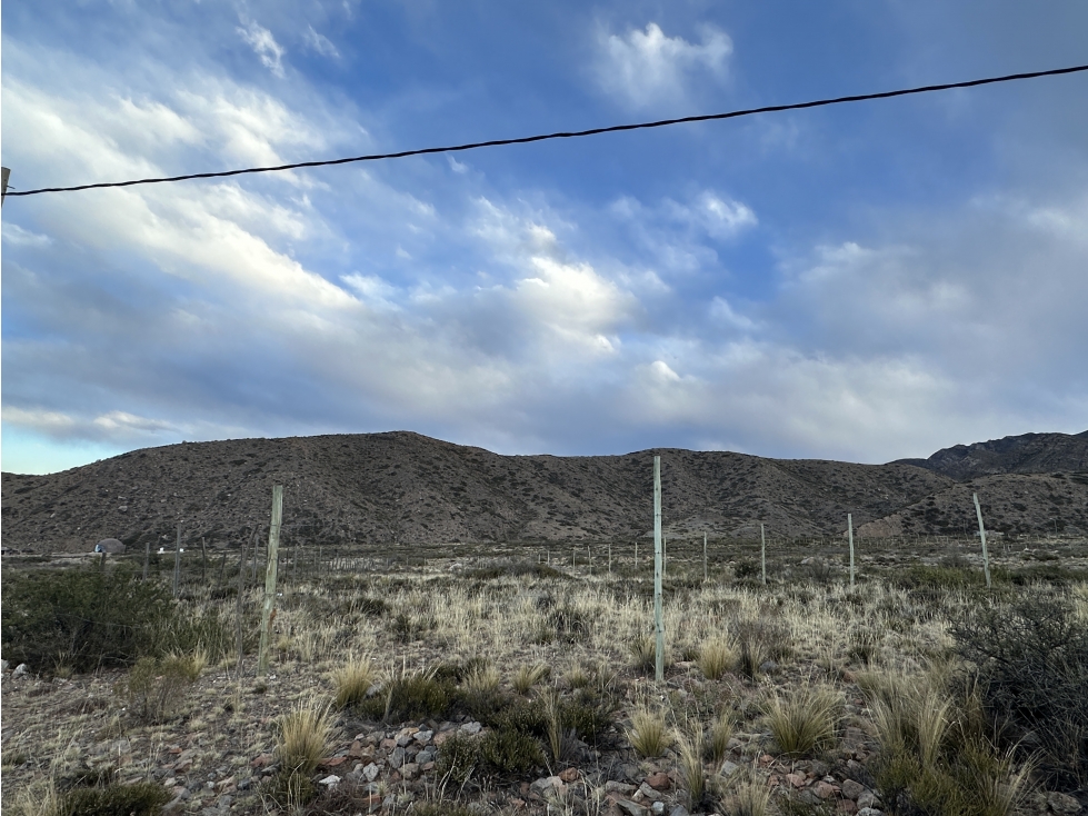 Terreno en venta 2000 m2, El Salto de Arriba, Potrerillos, Mendoza - 3