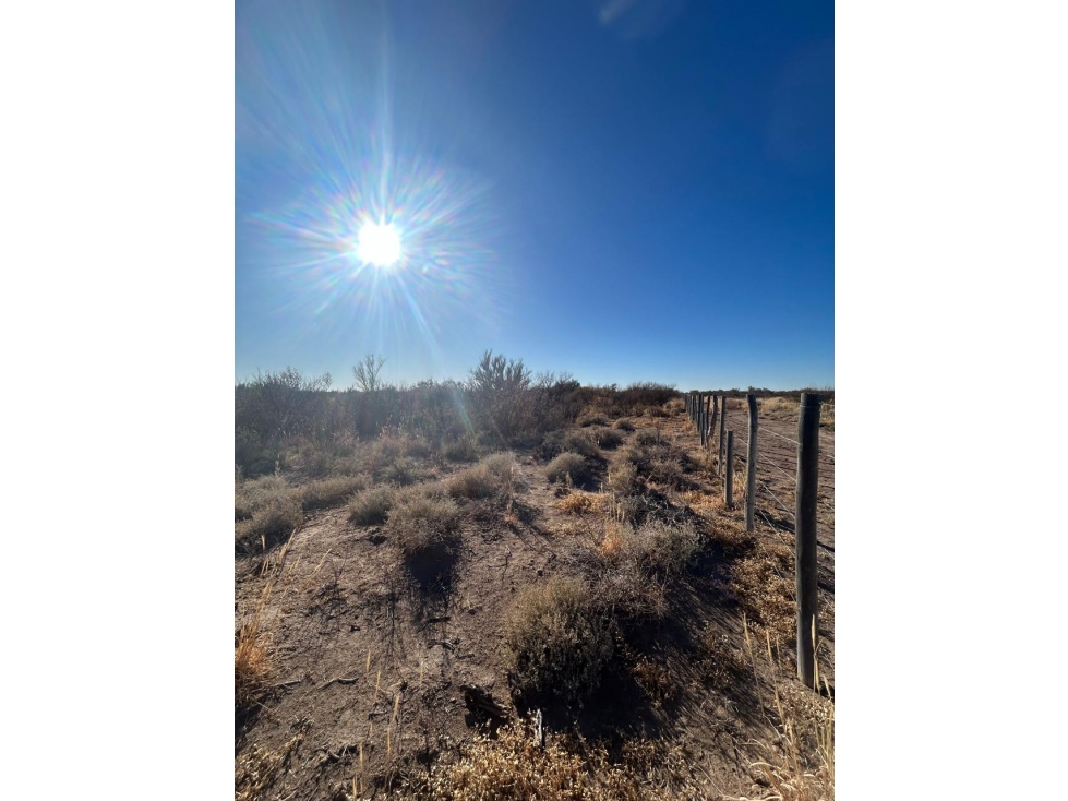 Campo en venta en Santa Rosa Mendoza, Las Catitas - 4