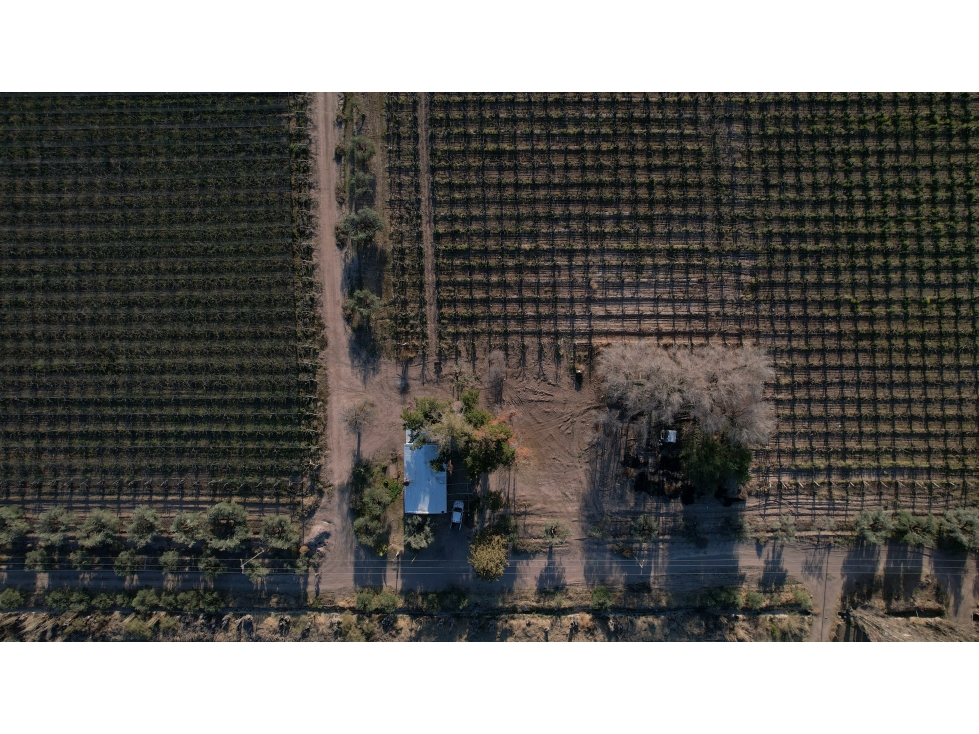 Finca vitivinícola en venta La Libertad, Rivadavia, Mendoza - 3