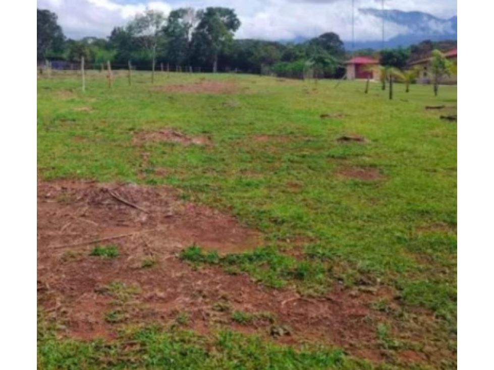 Juan Diaz, terreno 3000m2 listo para ocupar