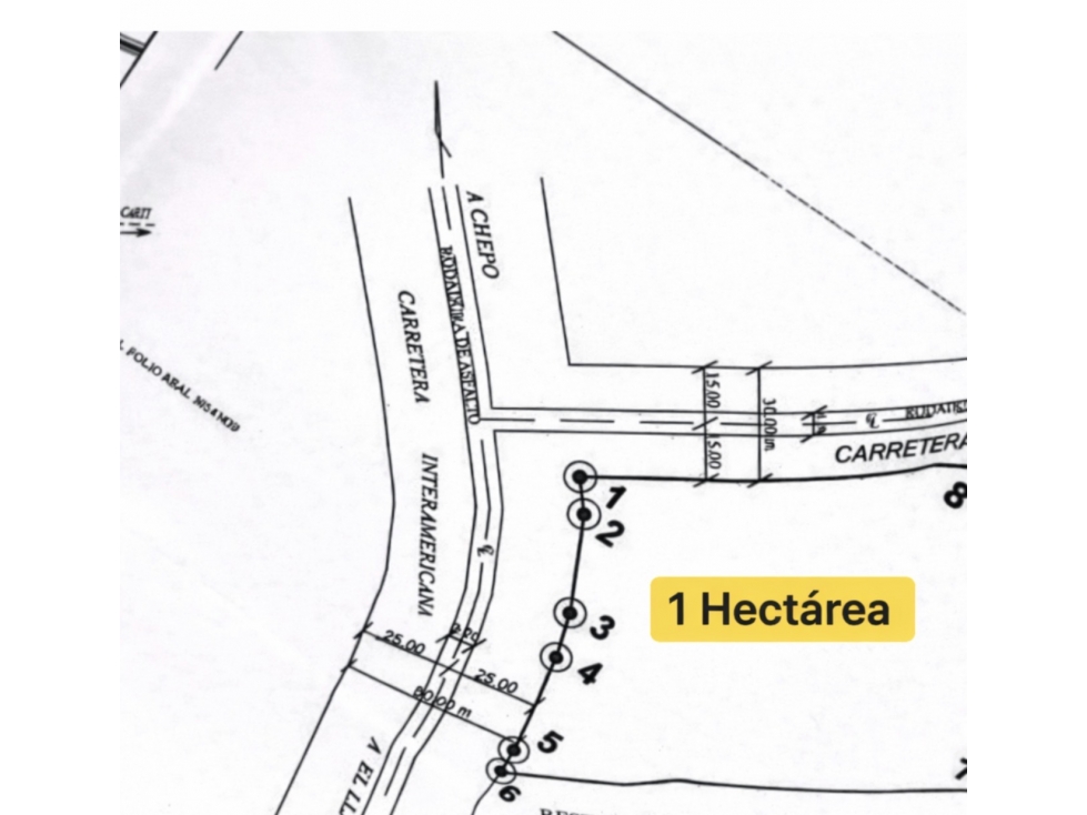 Chepo, terreno 1 hectária a solo $1.5M - 2