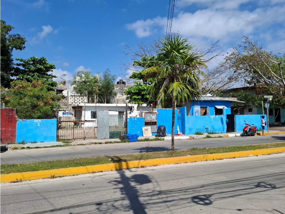 !!!!Oportunidad 400 m2 en venta en Avenida 10¡¡¡¡¡¡¡¡ - 2