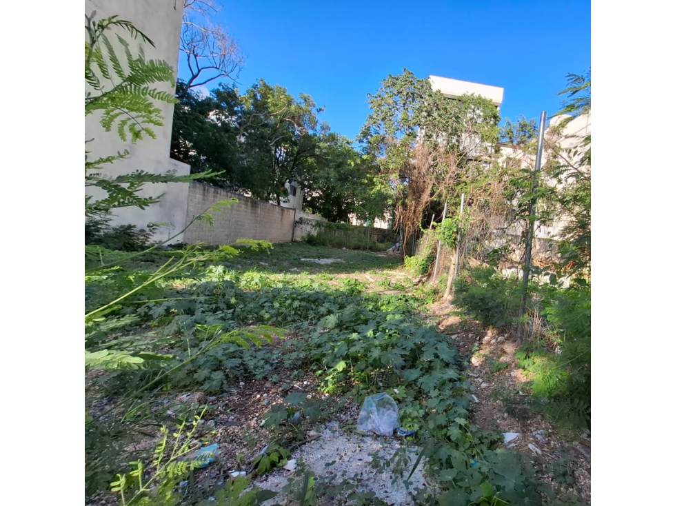 Terreno a la venta de 250 m2 - 2